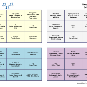 Norsk Party Musikk Bingo 30 bingobrett