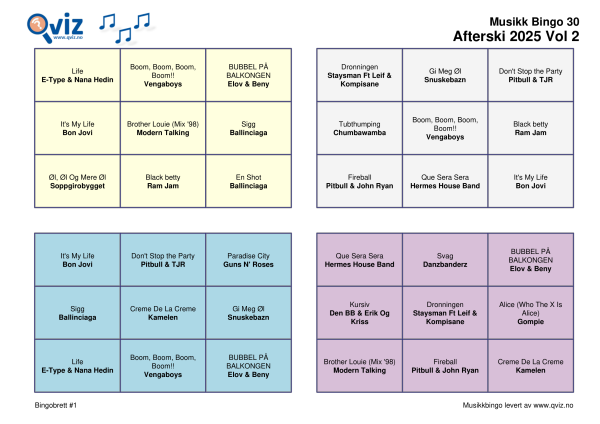 Afterski 2025 - Musikk Bingo - Bilde 4