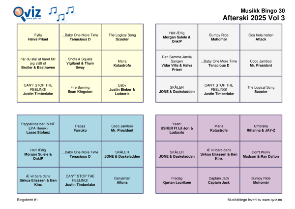 Afterski 2025 - Musikk Bingo - Bilde 6