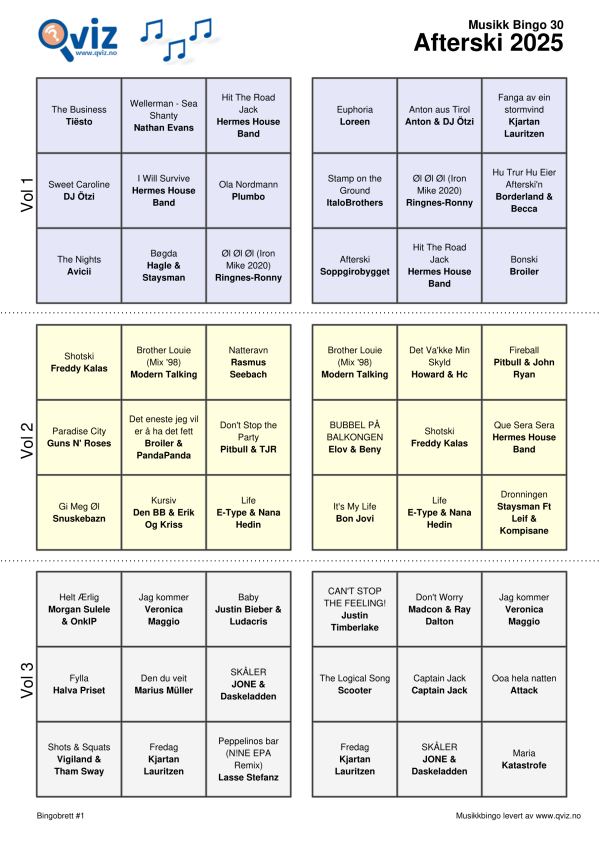 Afterski 2025 - Musikk Bingo - Bilde 8