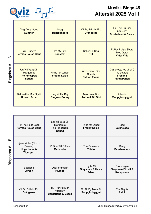 Afterski 2025 - Musikk Bingo - Bilde 10