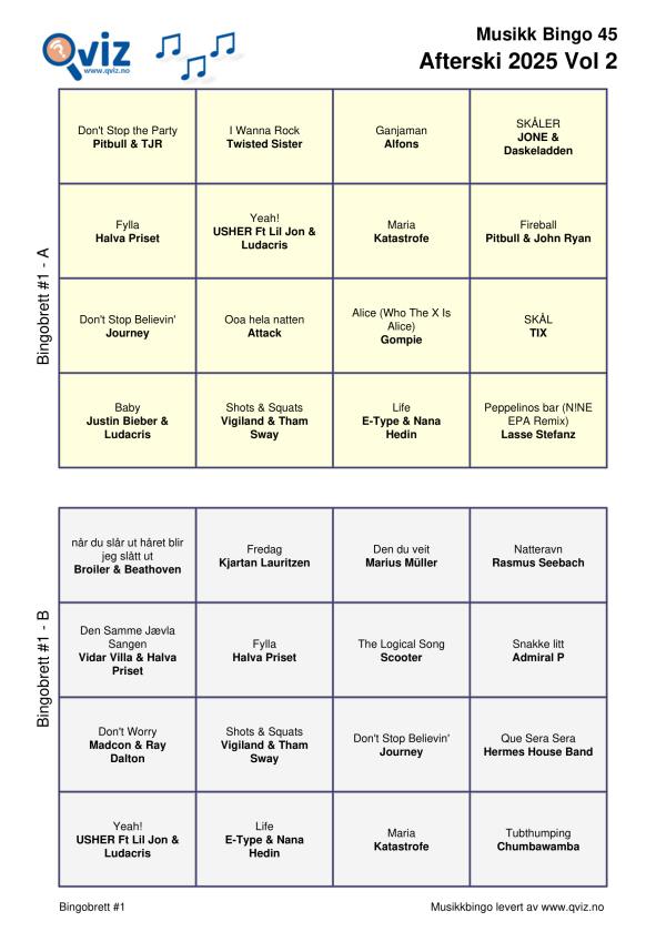 Afterski 2025 - Musikk Bingo - Bilde 12