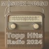 Musikk Bingo Topp Hits Radio 2024 Norge