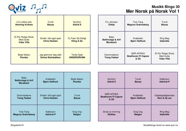 Mer Norsk på Norsk - Musikk Bingo - Bilde 2