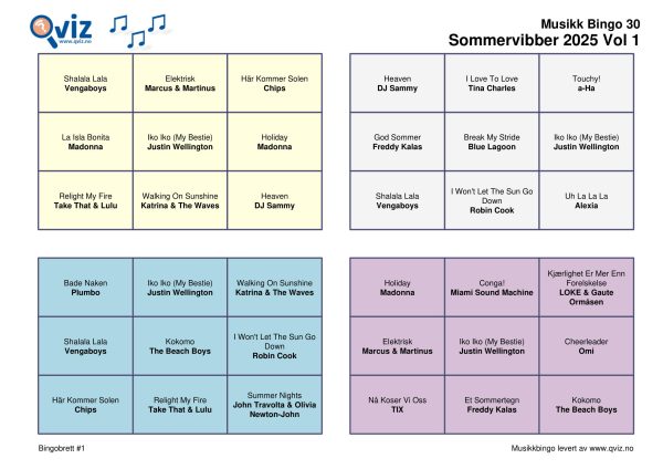 Sommervibber 2025 - Musikk Bingo - Bilde 2