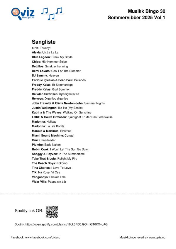 Sommervibber 2025 - Musikk Bingo - Bilde 3