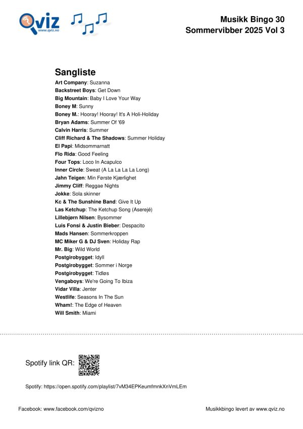 Sommervibber 2025 - Musikk Bingo - Bilde 7