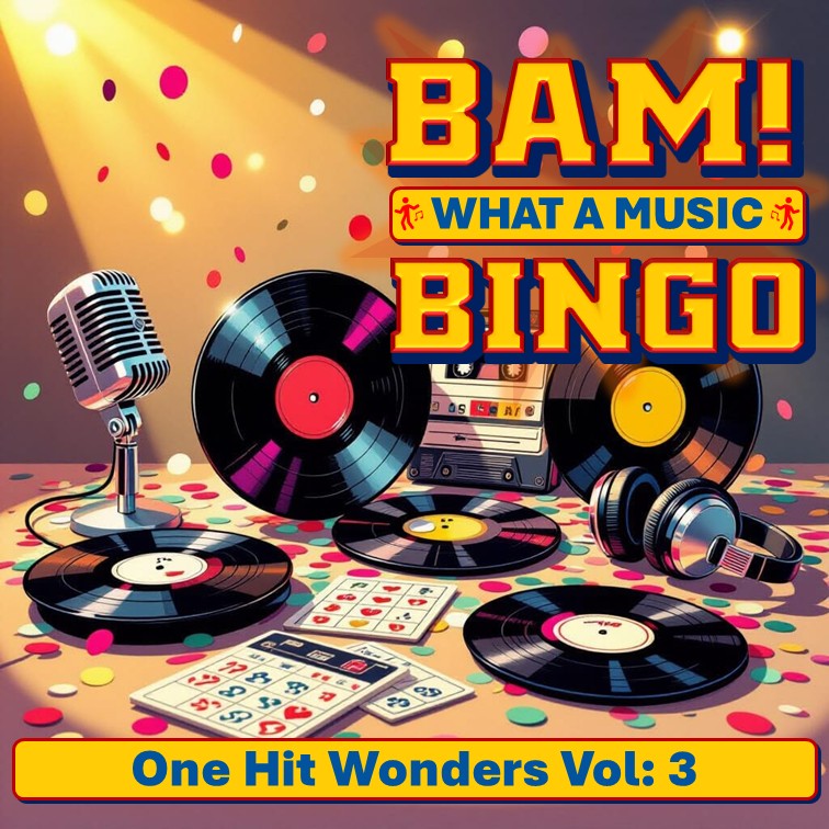 BAM! What a Music Bingo One Hit Wonders 3
