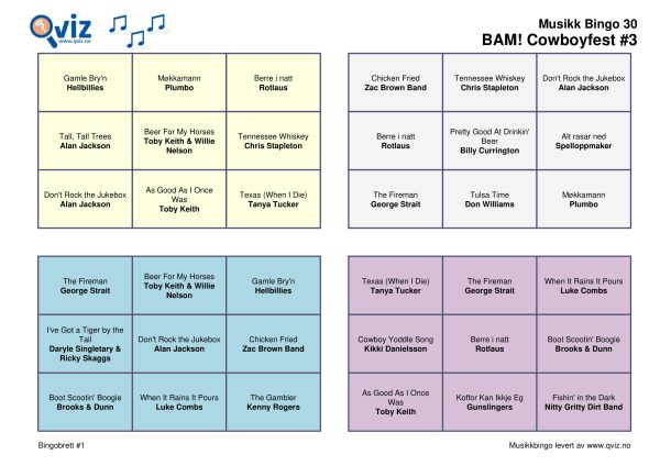 BAM! What a Music Bingo Cowboyfest - Bilde 15