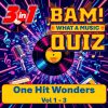 BAM! What a Music Quiz One Hit Wonders