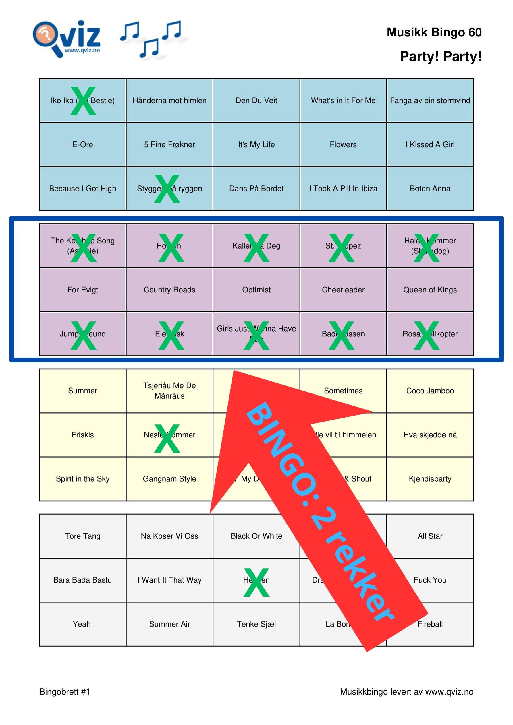 Bingo med 2 rekker