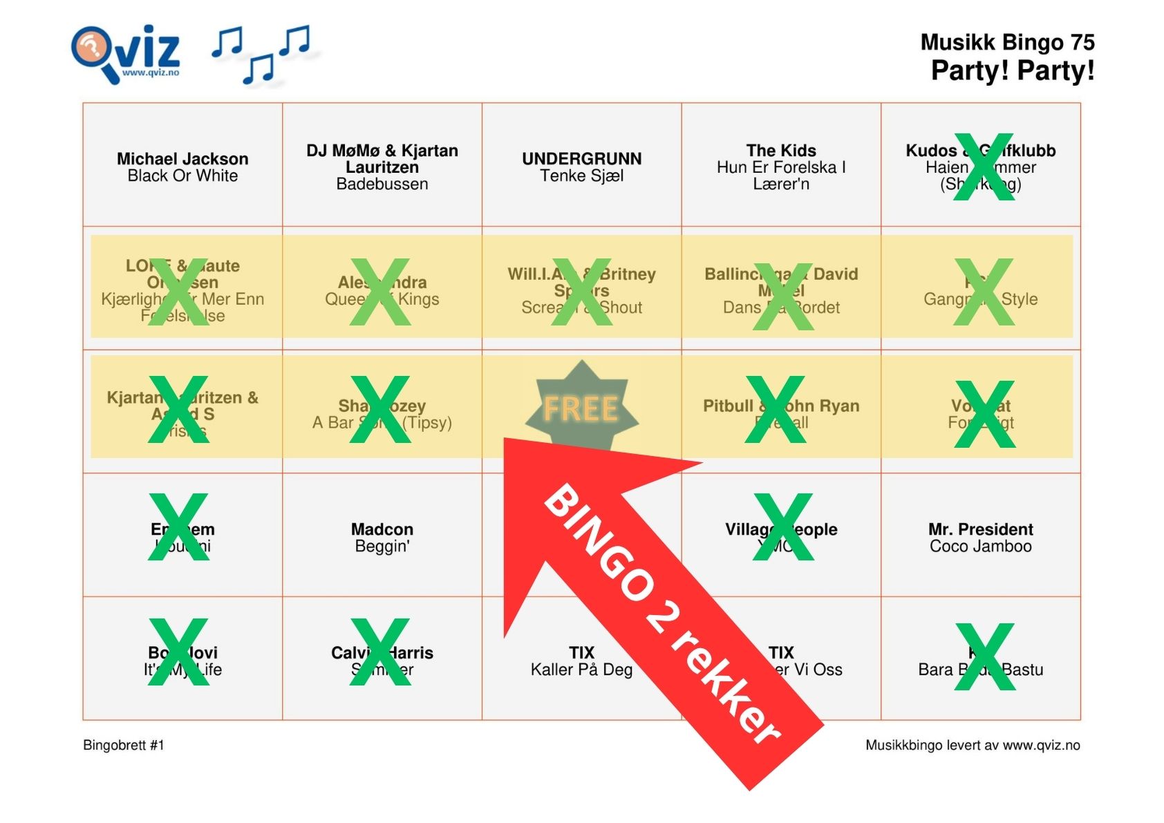 Bingo med 2 rekker